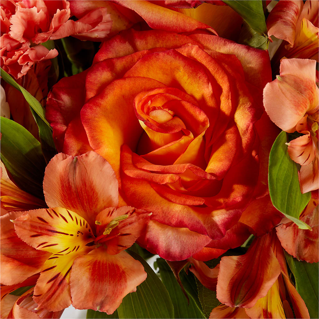 Apricot Glow Bouquet –  All City Florist Inc, Melbourne FL