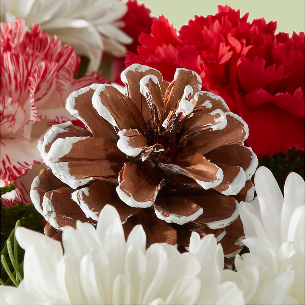 Candy Cane Lane Bouquet –  All City Florist Inc, Melbourne FL