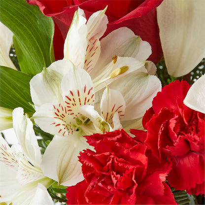 Holiday Season Bouquet –  All City Florist Inc, Melbourne FL