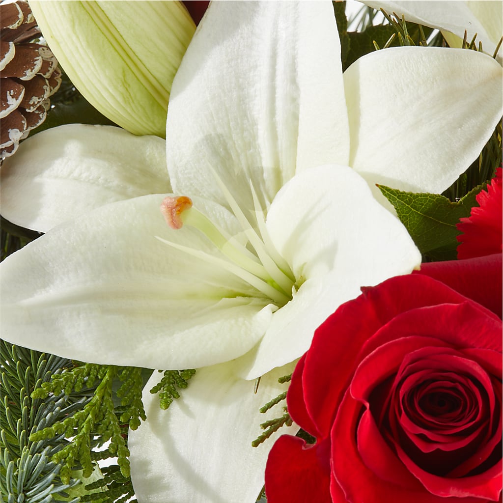 Oh So Jolly Bouquet –  All City Florist Inc, Melbourne FL