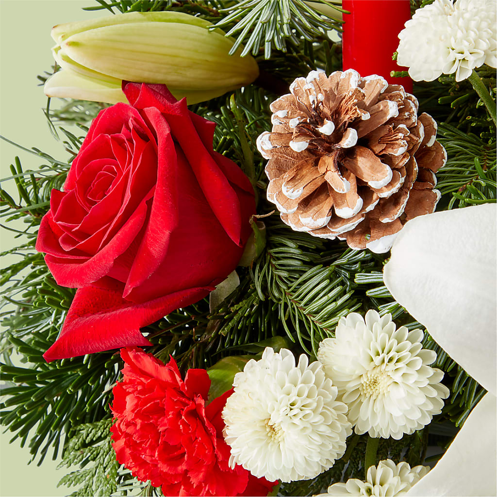Seasonal Festivities Centerpiece –  All City Florist Inc, Melbourne FL
