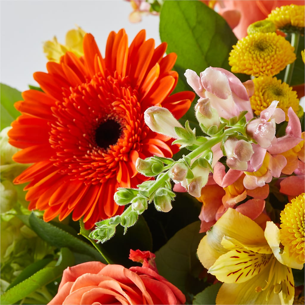 Autumn Sunshine Bouquet –  All City Florist Inc, Melbourne FL