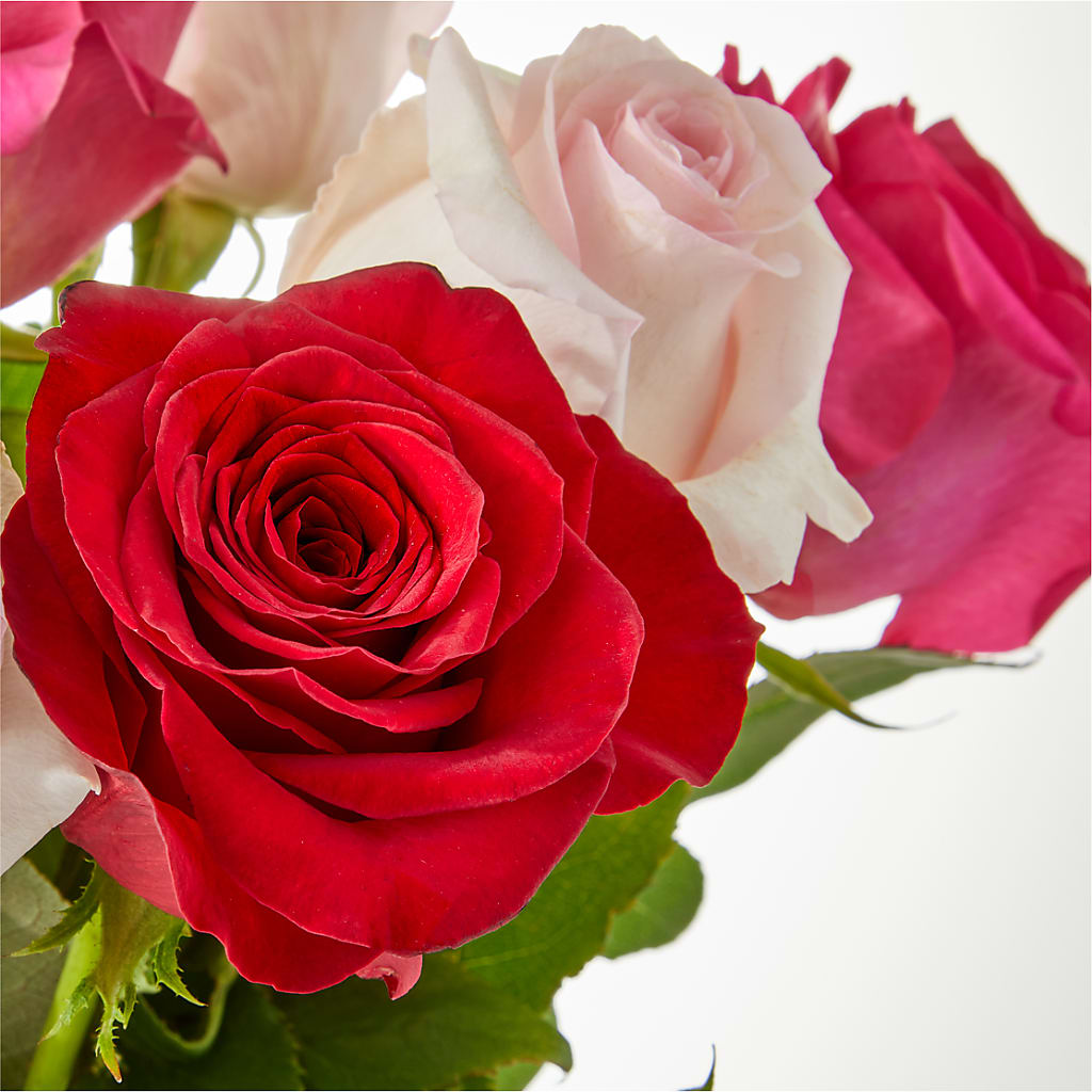 Charming Rose Bouquet –  All City Florist Inc, Melbourne FL