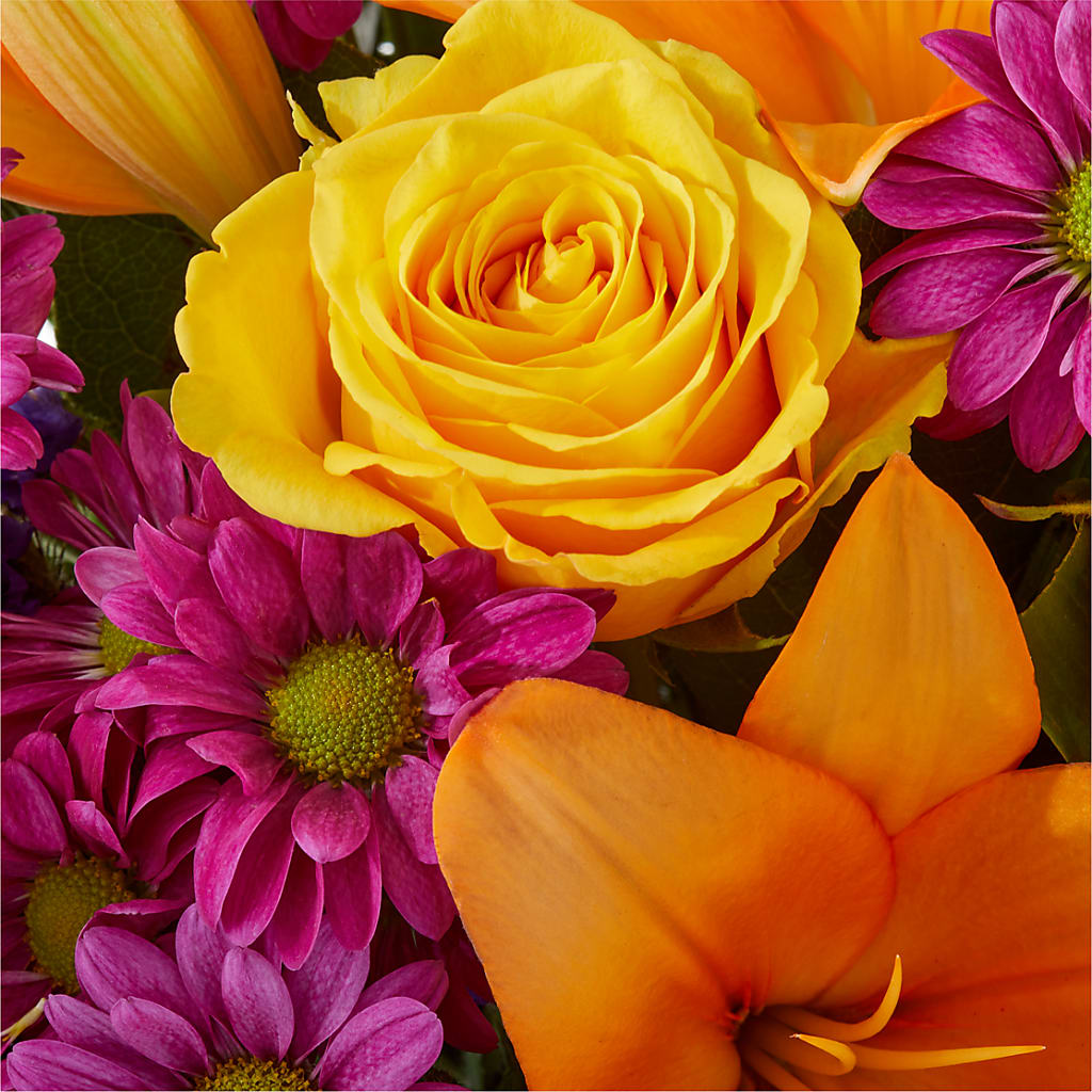 Colorful Visions Bouquet –  All City Florist Inc, Melbourne FL