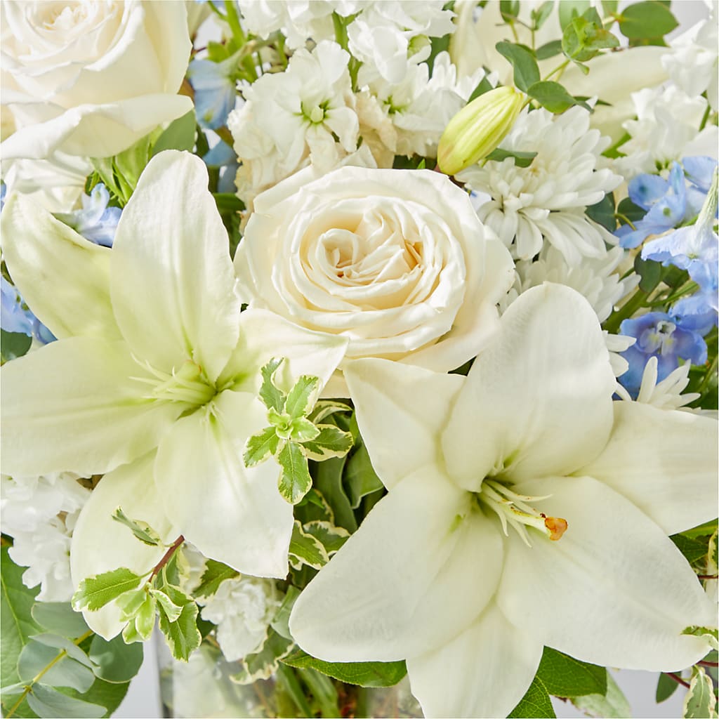 Peace of Mind Bouquet –  All City Florist Inc, Melbourne FL