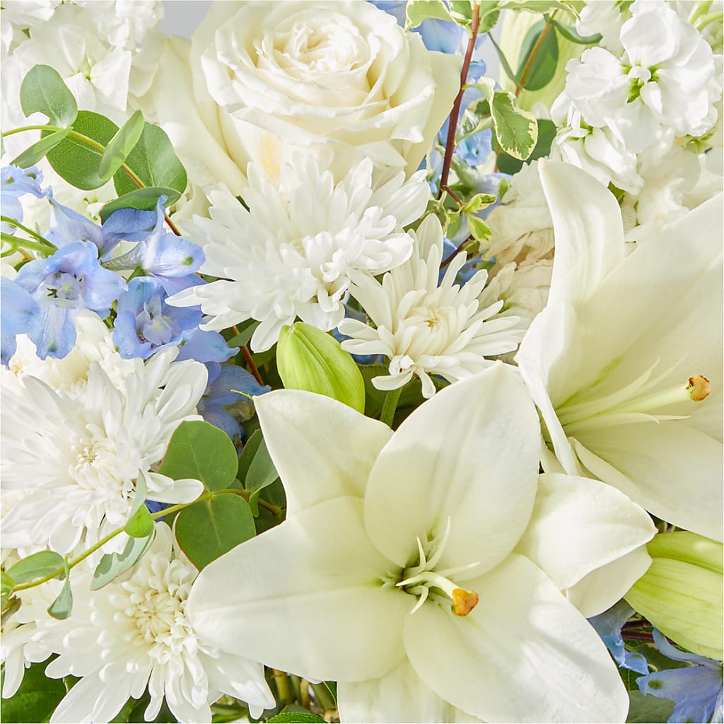 Peace of Mind Bouquet –  All City Florist Inc, Melbourne FL