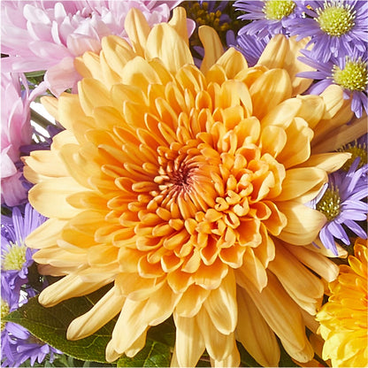 Countryside Bouquet –  All City Florist Inc, Melbourne FL