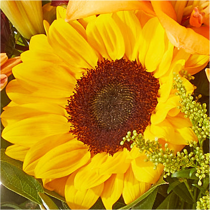 Seasons Change Bouquet –  All City Florist Inc, Melbourne FL