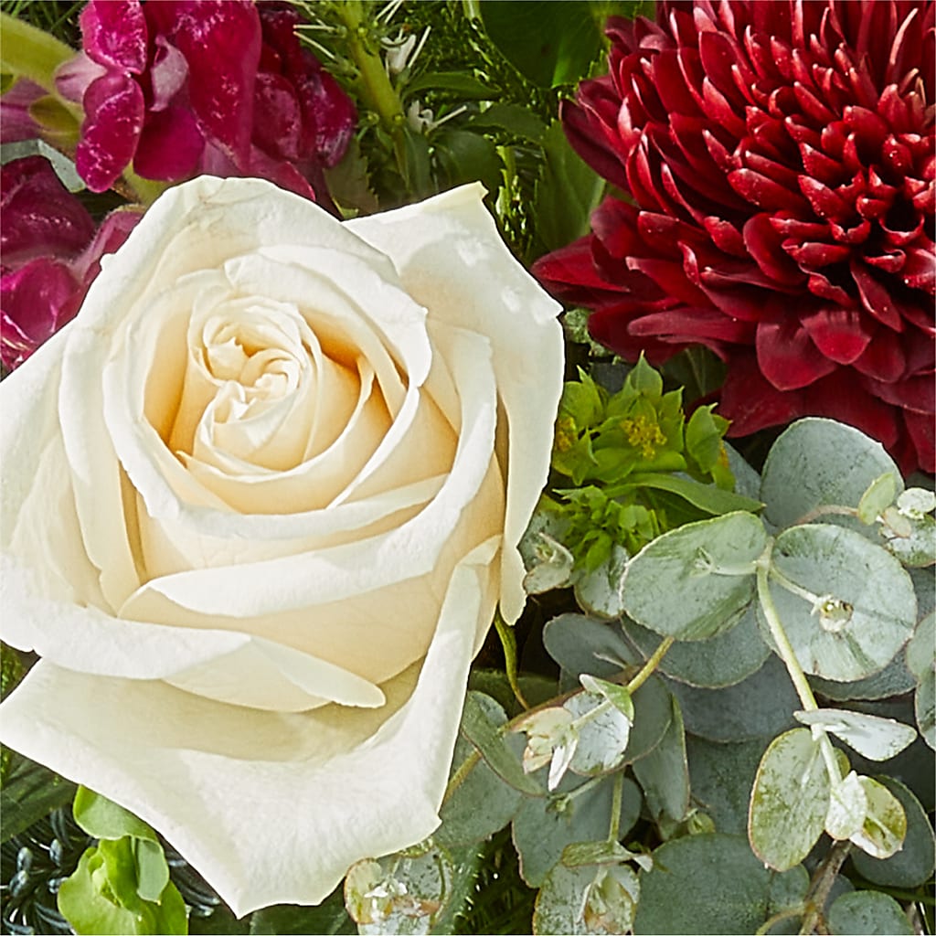 Cranberry Fizz Bouquet –  All City Florist Inc, Melbourne FL