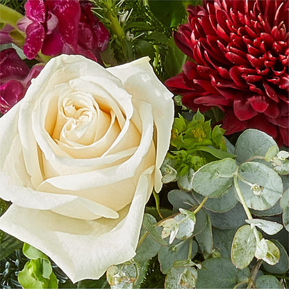Cranberry Fizz Bouquet –  All City Florist Inc, Melbourne FL