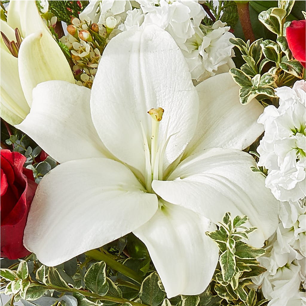 Twinkle Lights Bouquet –  All City Florist Inc, Melbourne FL