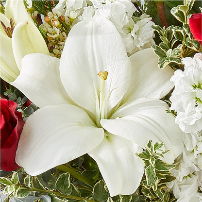 Twinkle Lights Bouquet –  All City Florist Inc, Melbourne FL