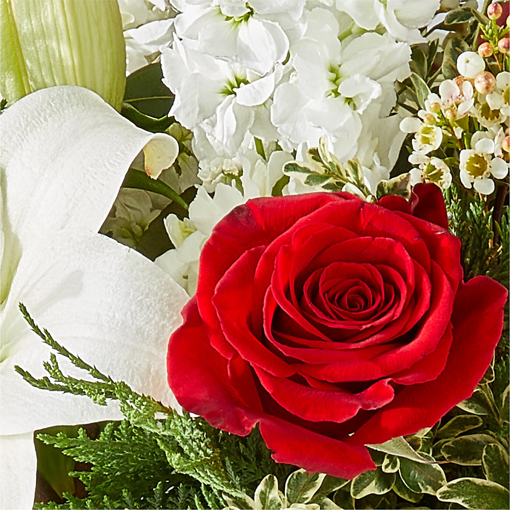 Twinkle Lights Bouquet –  All City Florist Inc, Melbourne FL