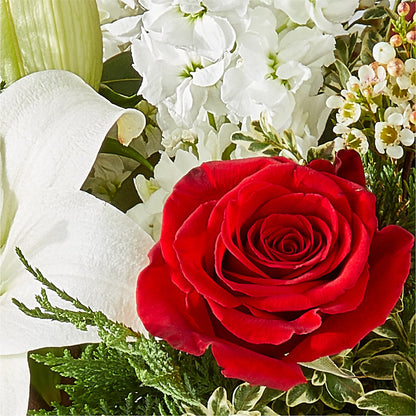 Twinkle Lights Bouquet –  All City Florist Inc, Melbourne FL