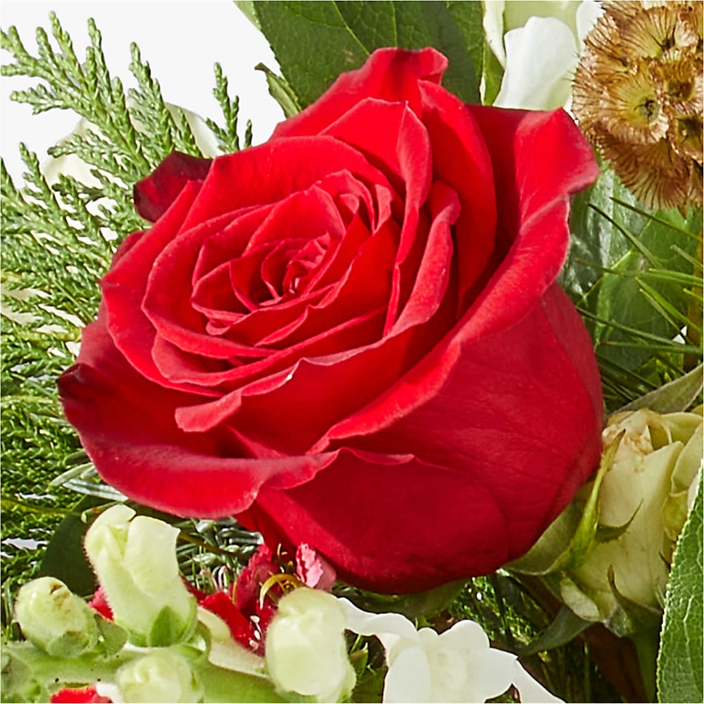 Deck the Halls Bouquet –  All City Florist Inc, Melbourne FL
