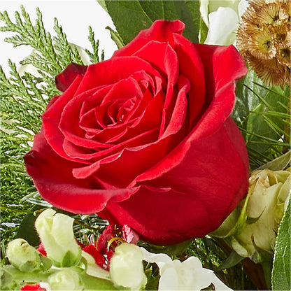 Deck the Halls Bouquet –  All City Florist Inc, Melbourne FL