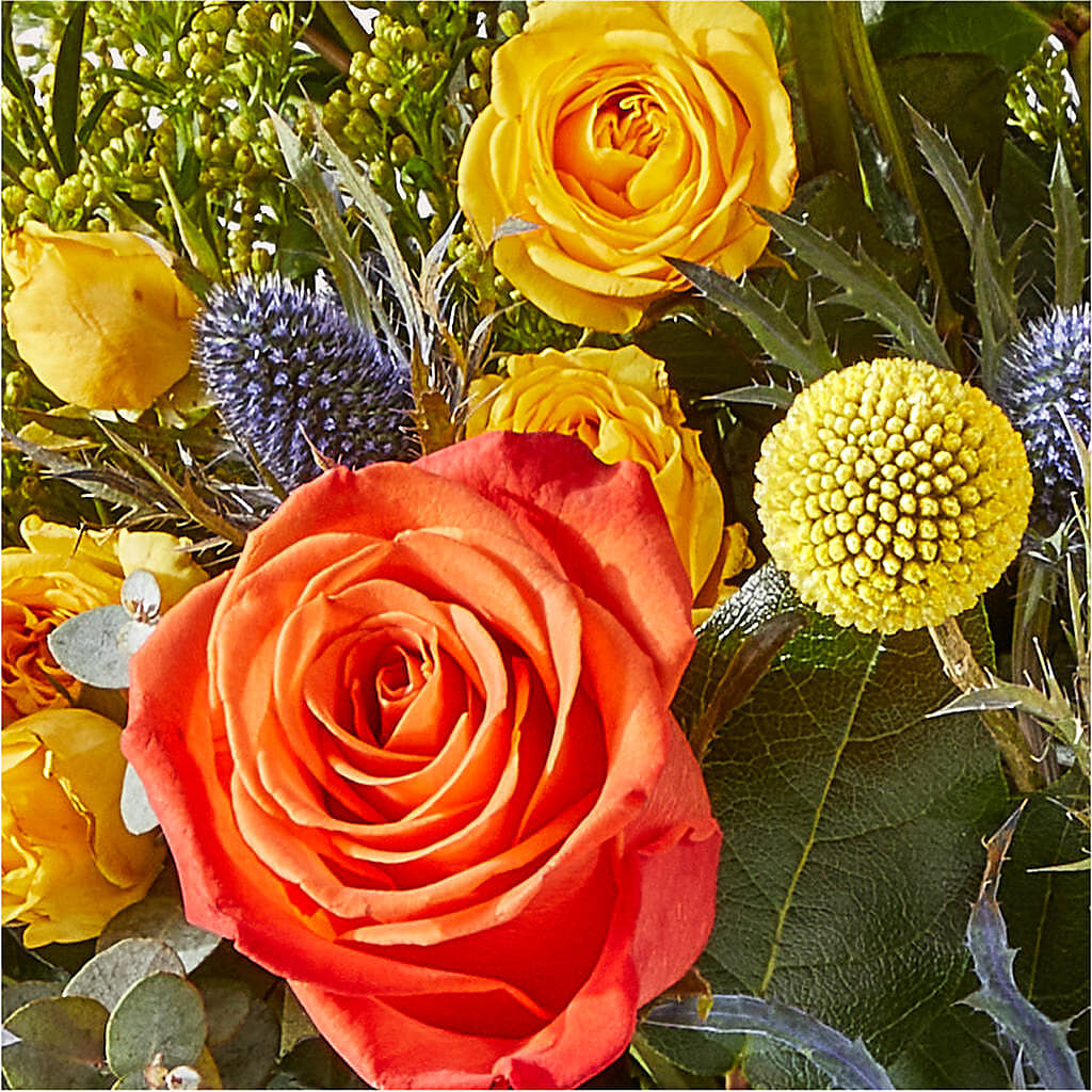 Disco Bouquet –  All City Florist Inc, Melbourne FL
