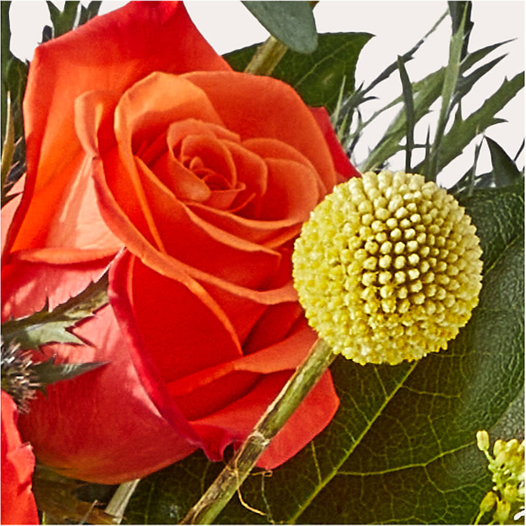 Disco Bouquet –  All City Florist Inc, Melbourne FL