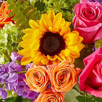 Vibrant Greetings Bouquet –  All City Florist Inc, Melbourne FL