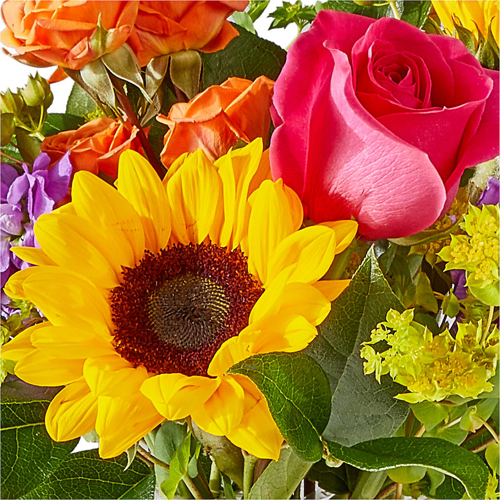 Vibrant Greetings Bouquet –  All City Florist Inc, Melbourne FL
