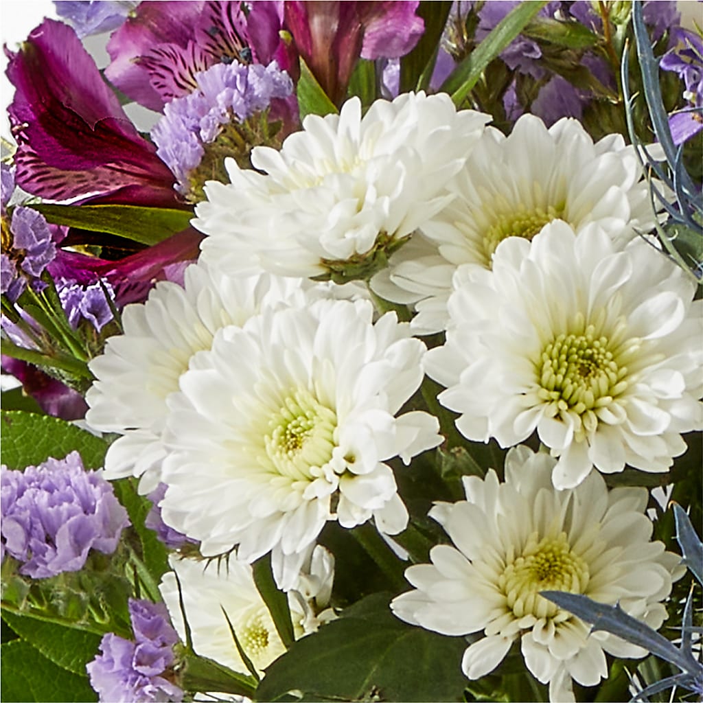Shooting Star Bouquet –  All City Florist Inc, Melbourne FL