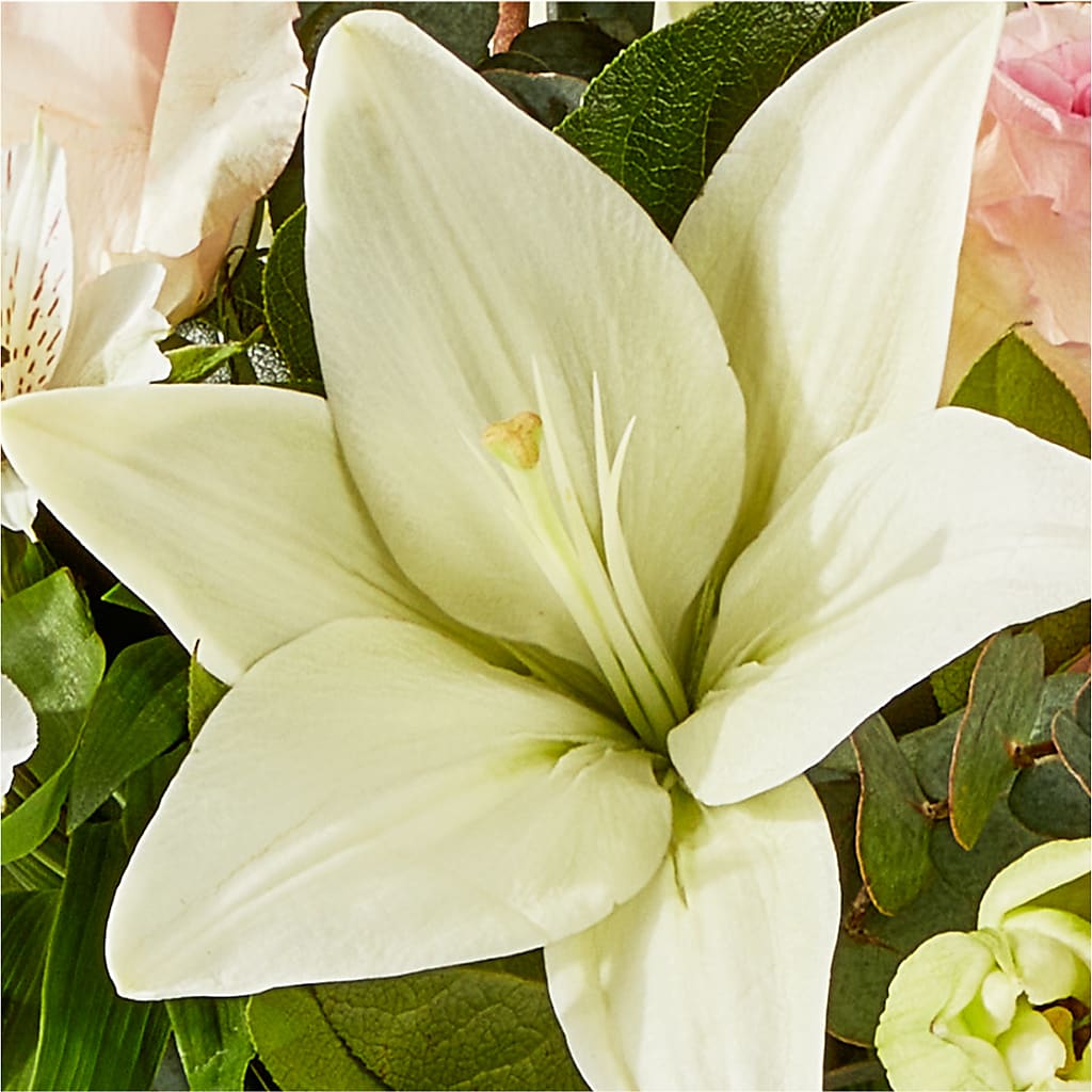 Ballet Slippers Bouquet –  All City Florist Inc, Melbourne FL