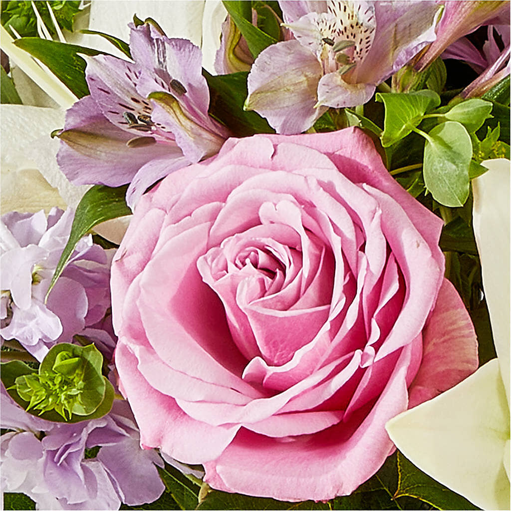 Daydreamer Bouquet –  All City Florist Inc, Melbourne FL