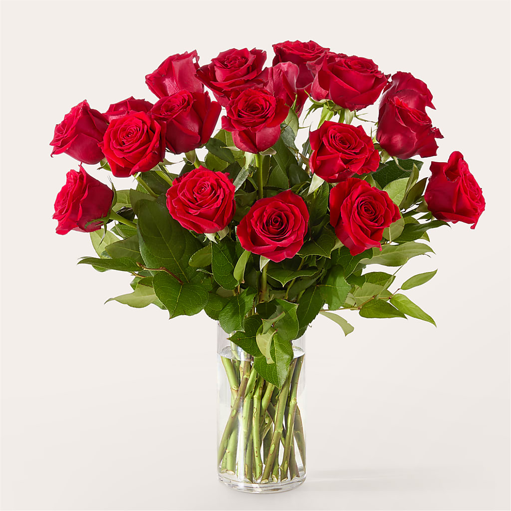 The One Red Rose Bouquet –  All City Florist Inc, Melbourne FL