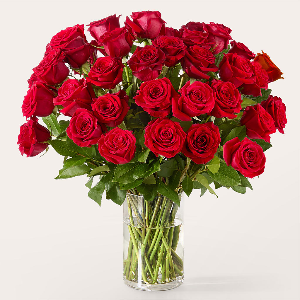 The One Red Rose Bouquet –  All City Florist Inc, Melbourne FL