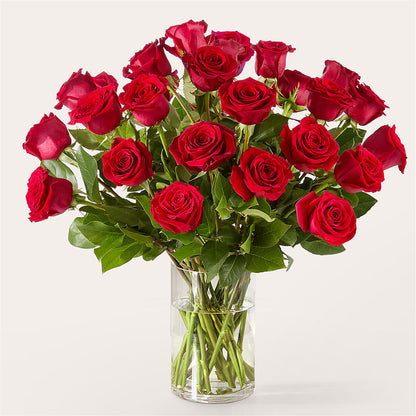 The One Red Rose Bouquet –  All City Florist Inc, Melbourne FL