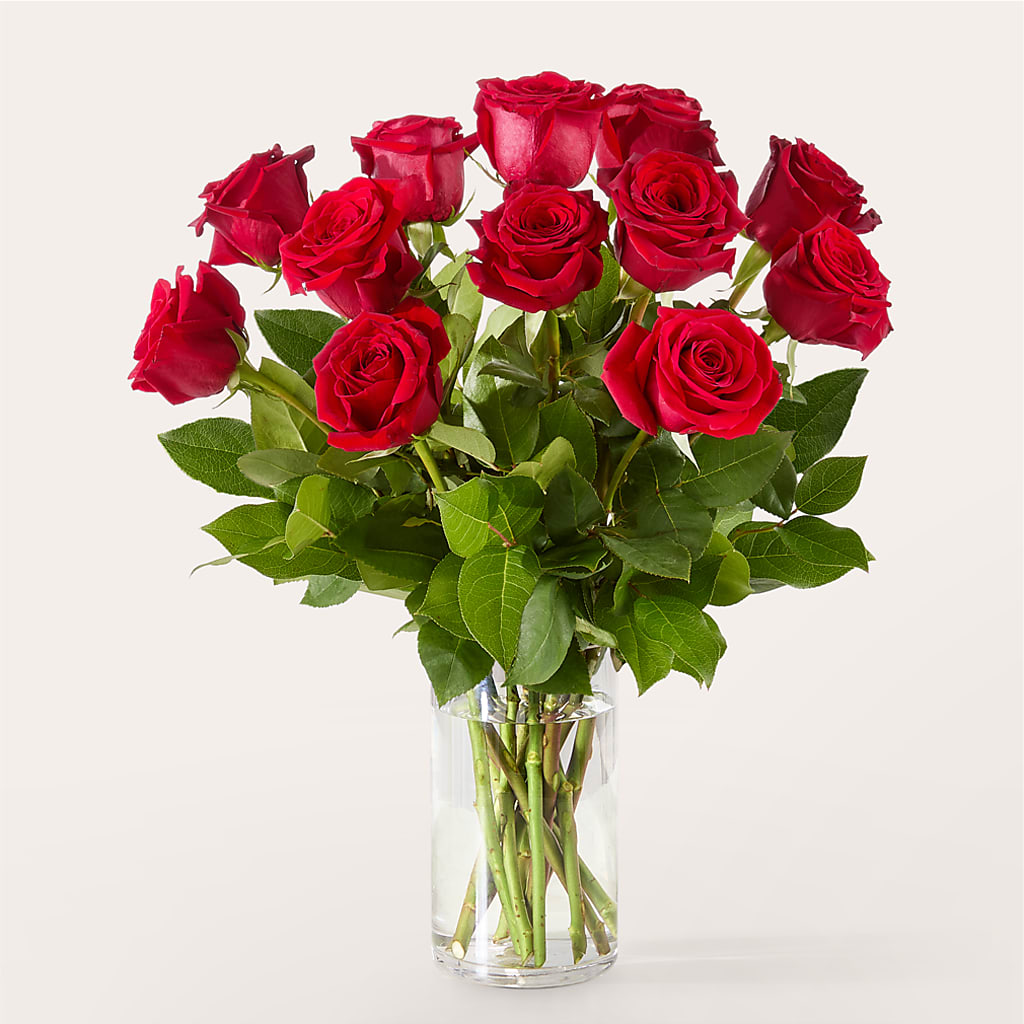 The One Red Rose Bouquet –  All City Florist Inc, Melbourne FL