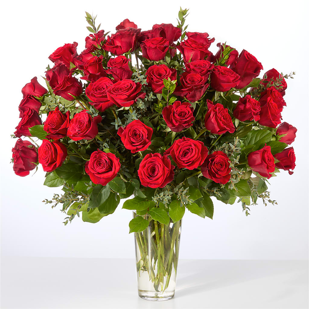 Forever Yours Fifty Stem Red Rose Bouquet –  All City Florist Inc, Melbourne FL