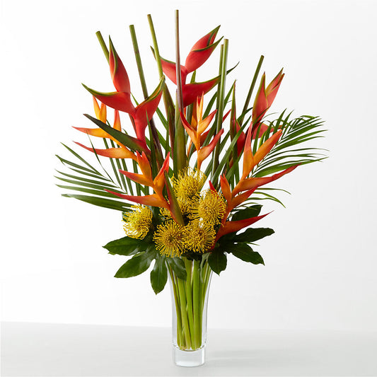 The Drama –  All City Florist Inc, Melbourne FL