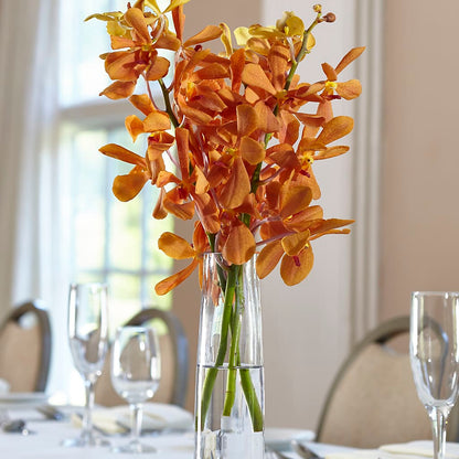 Orange Mokara Bud Vase –  All City Florist Inc, Melbourne FL