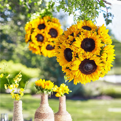 Sublime Garden Hanging Arrangement –  All City Florist Inc, Melbourne FL