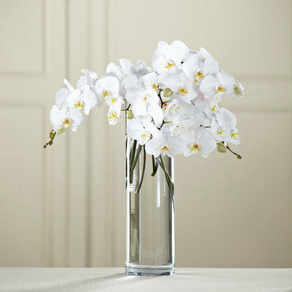 White Phalaenopsis Bouquet –  All City Florist Inc, Melbourne FL
