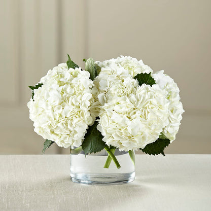 White Hydrangea Bouquet –  All City Florist Inc, Melbourne FL